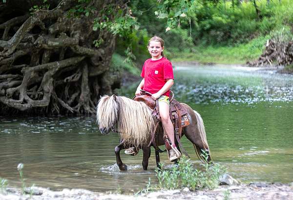 trail-pony
