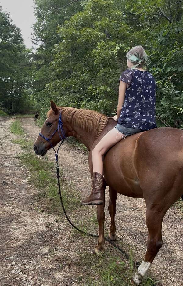 all-around-pony