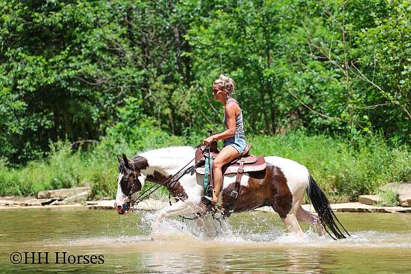 drill-team-paint-horse