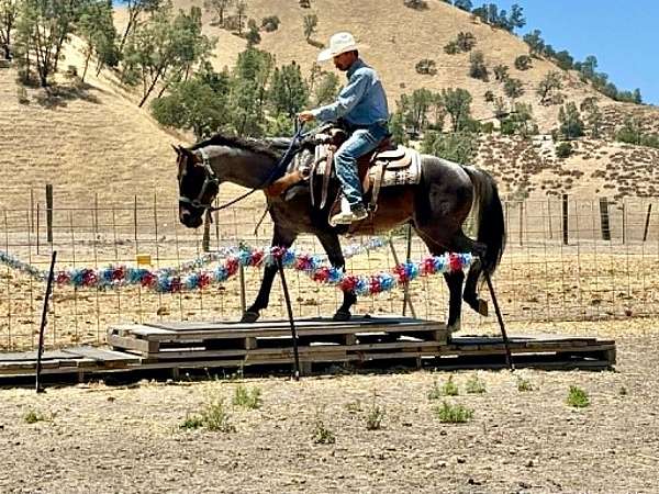 roping-quarter-horse