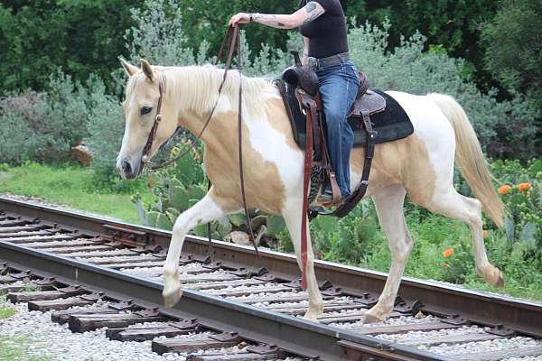 kid-safe-paint-horse