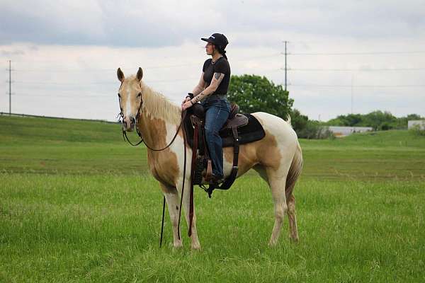 performance-paint-horse