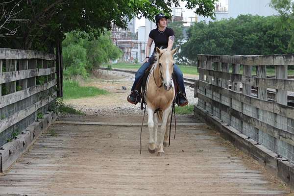 ranch-paint-horse