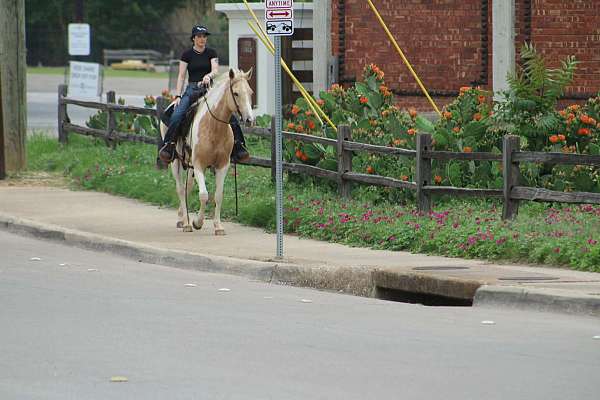 ranch-work-paint-horse