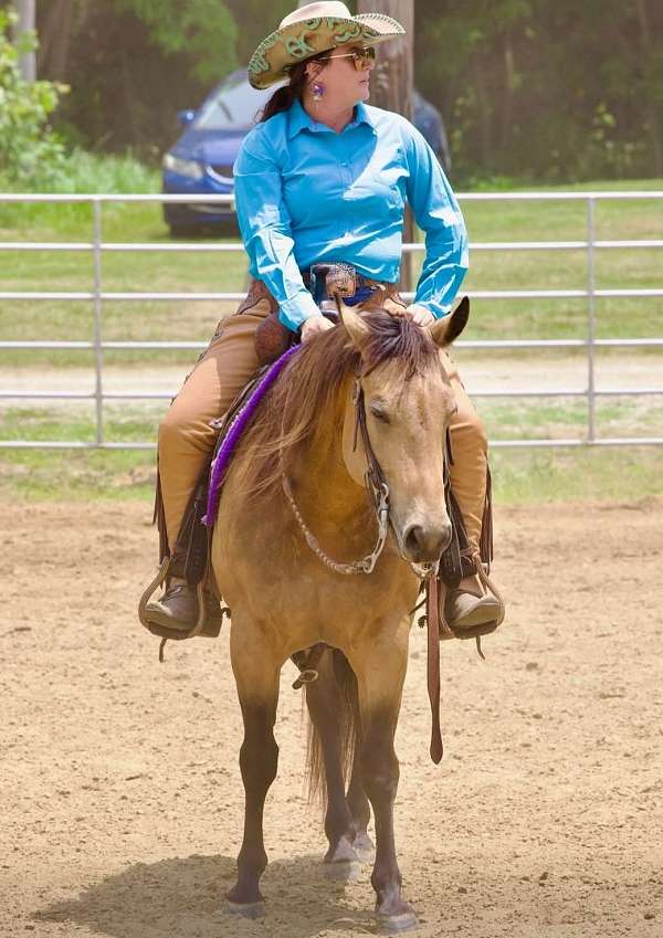 athletic-quarter-horse