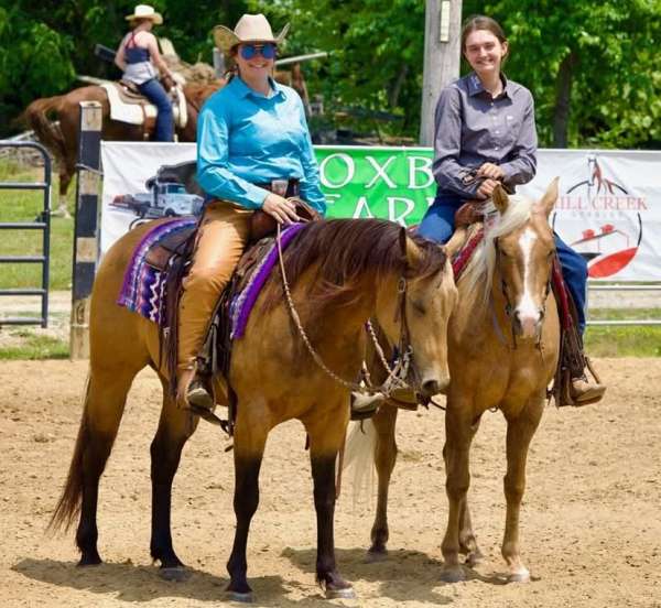 husband-safe-quarter-horse