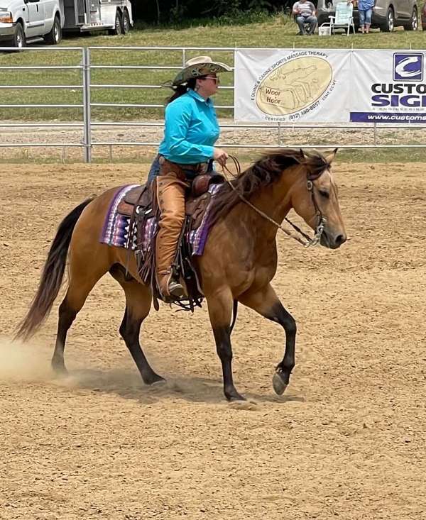 ranch-quarter-horse