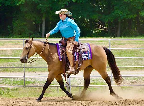 performance-quarter-horse
