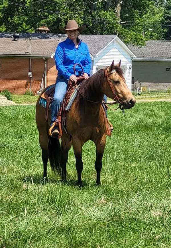 ranch-versatility-quarter-horse