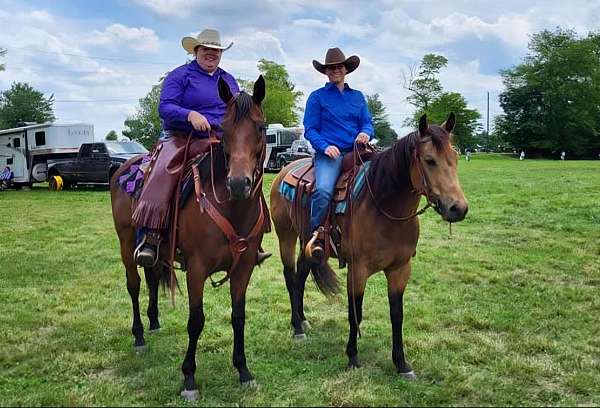 ranch-work-quarter-horse