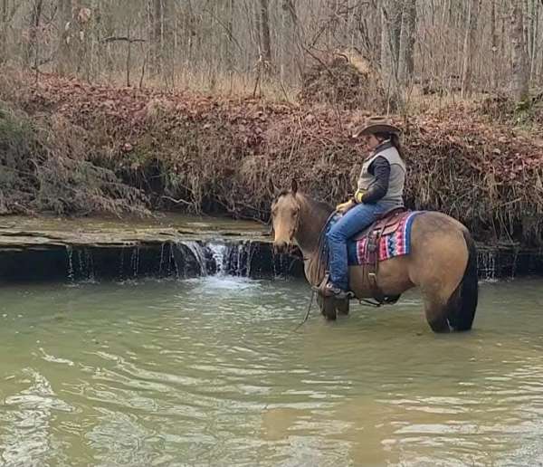 roping-quarter-horse