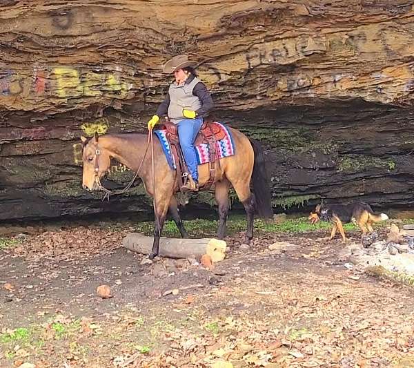 ridden-western-quarter-horse