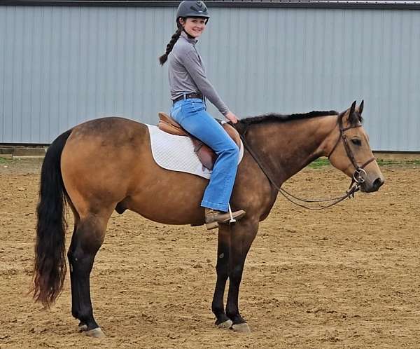 trail-quarter-horse