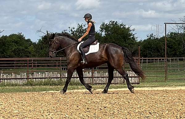 driving-draft-horse