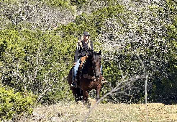 ranch-work-draft-horse