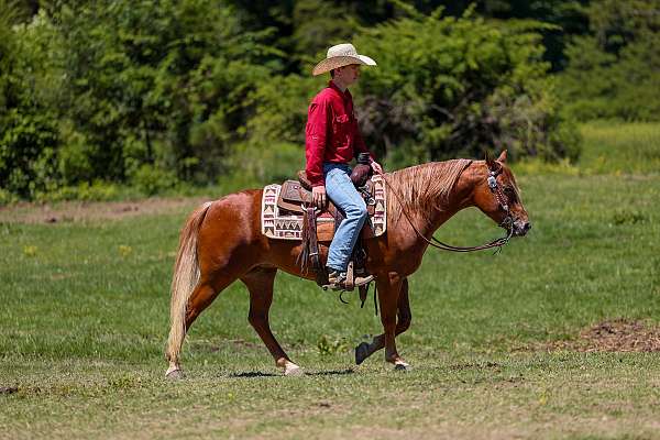 ranch-poa-horse