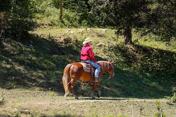 ranch-work-poa-horse
