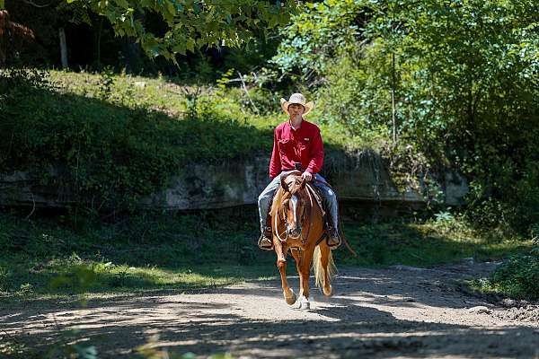 trail-riding-poa-horse