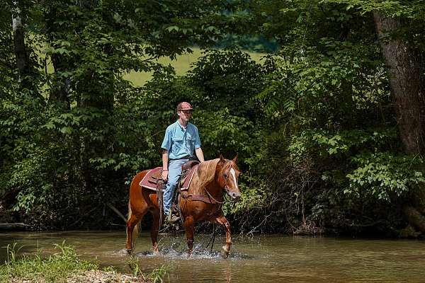 youth-poa-horse