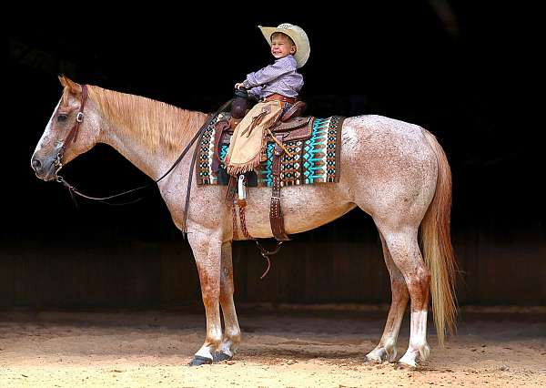 kid-safe-paint-horse