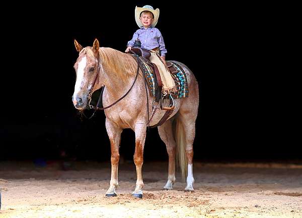 performance-paint-horse