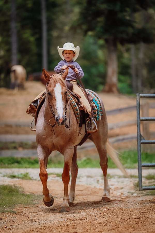 ranch-paint-horse