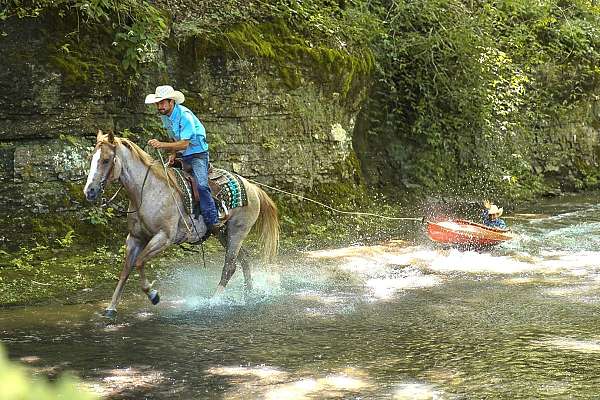 ranch-versatility-paint-horse