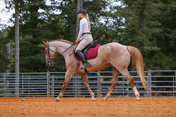 ridden-western-paint-horse