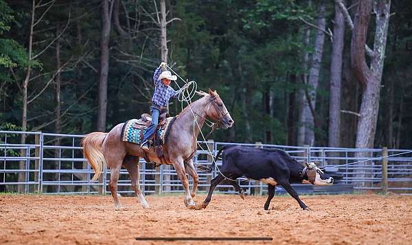 trail-paint-horse