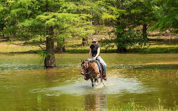 kid-safe-poa-pony