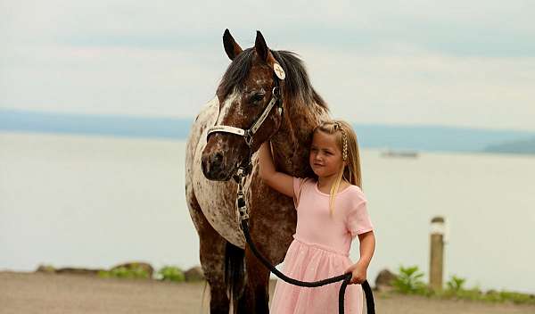 ranch-poa-pony