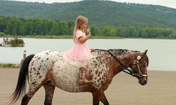 ranch-work-poa-pony