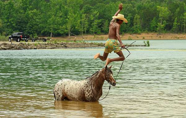 roping-poa-pony