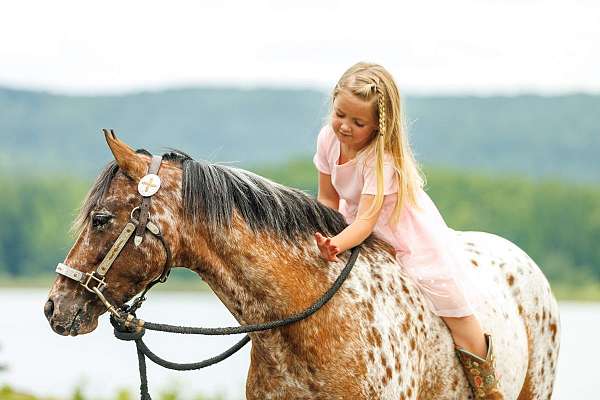 trail-riding-poa-pony
