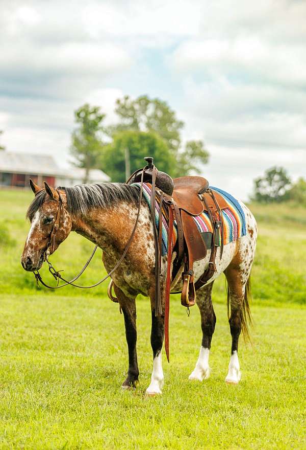 youth-poa-pony