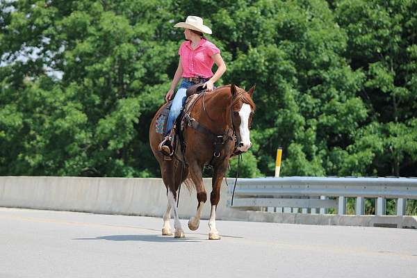 flashy-quarter-horse