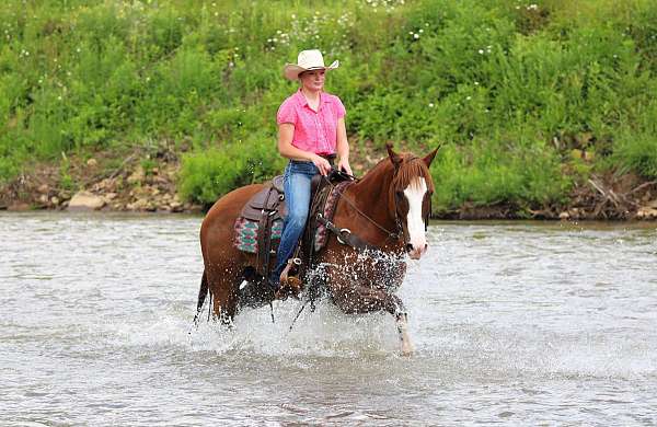 ranch-work-quarter-horse