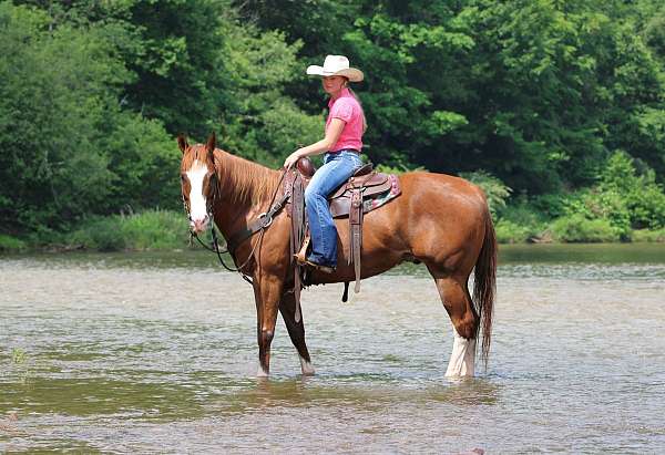 trail-riding-quarter-horse