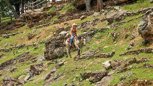roping-quarter-horse