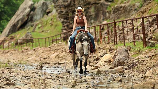 trail-riding-quarter-horse