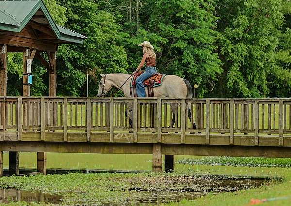 western-riding-quarter-horse