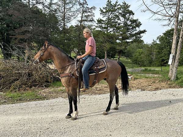 pastern-gelding