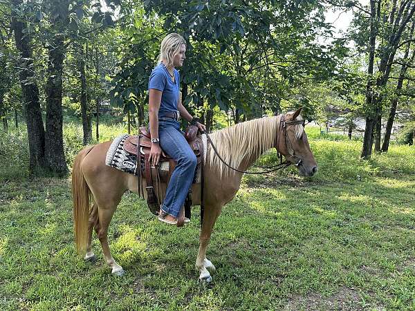 bonnie-quarter-pony