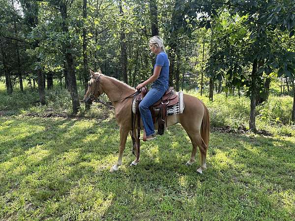 dismount-quarter-pony