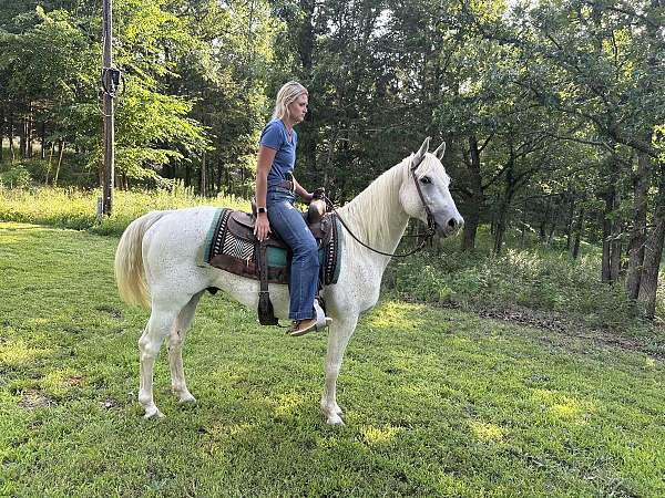 back-quarter-horse