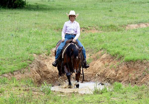 flashy-quarter-horse