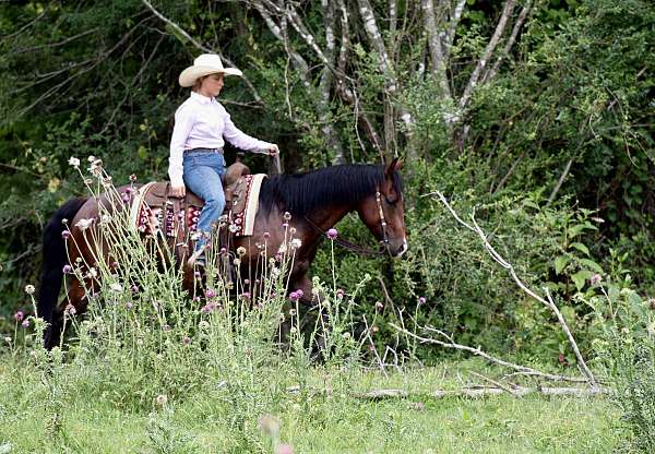 roping-quarter-horse