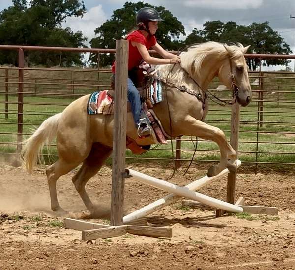 athletic-quarter-horse