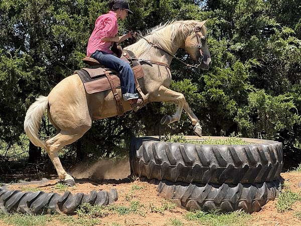 flashy-quarter-horse