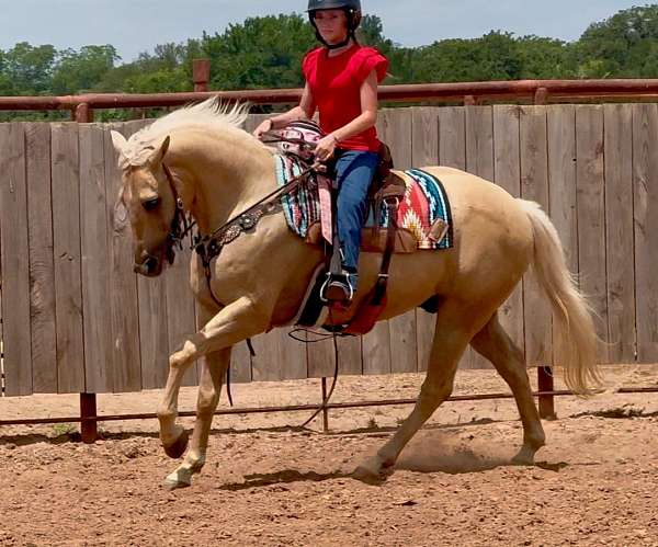 jumping-quarter-horse